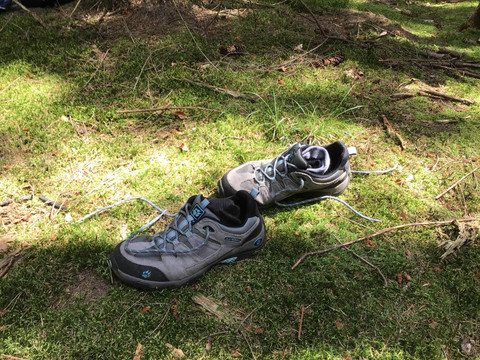 Waldbaden ©Diana Mirtschink.jpg