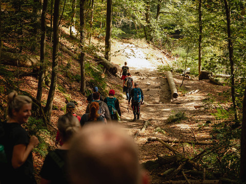 Adventure_Walk_Sächsische_Schweiz_20250928_EHH_Fotografie_PEHH3700.jpg