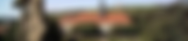 Bild Schloßpark.jpg