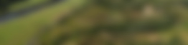 luftbilder_233px.jpg
