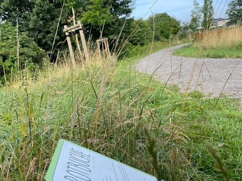 Schild Baumlehrpfad Legden