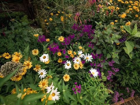 borken-garten-picker-03