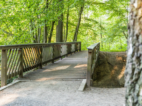 Holzbrücke im Tiergarten in Wolbeck
