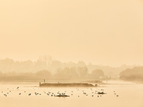 muenster-rieselfelder-picknick-sonnenaufgang