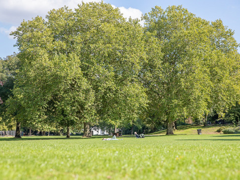 Südpark in Münster