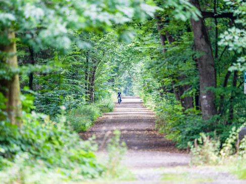Prinzenbusch und Pastorenbusch in Rhede