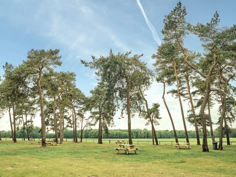 duelmen-wildpferde-picknick