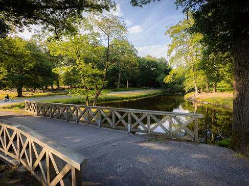 Verwunschene Pfade über historische Holzbrücken