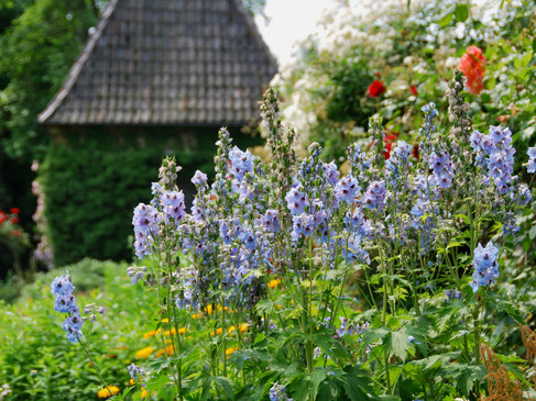 Ochtrup Garten Haus Welbergen