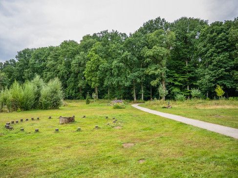 Prinzenbusch und Pastoren Busch in Rhede