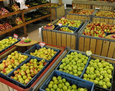 Obstgut Franz Müller