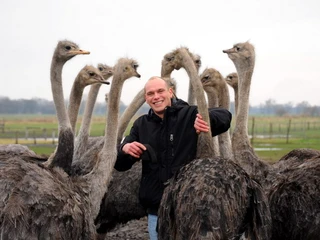 Foto: Straußenhof Großderschau