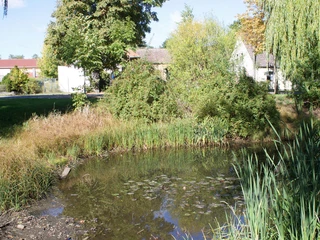 Löcknitz-Forellenteich in Schöneiche