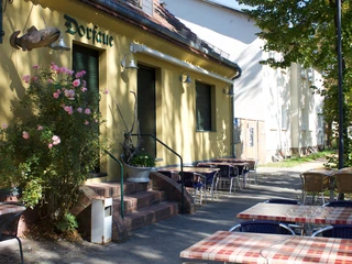 Löcknitz-Forelle - Fischrestaurant Dorfaue in Schöneiche