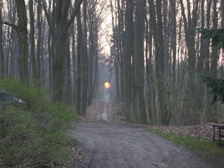 Weg_zur_Ferienwohnung