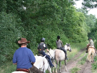 Ausritt durch den Sauener Wald