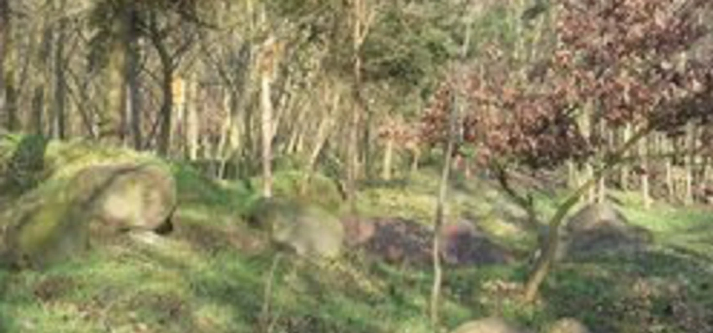 Geologischer Lehrpfad Altranft