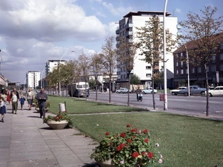 Eisenhüttenstadt Stadtzentrum, Lindenallee 038
