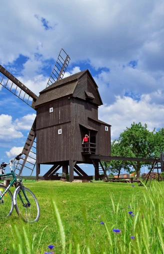 Bockwindmuehle Trebbus