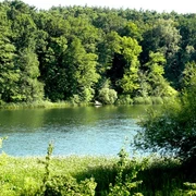 Trebuser See