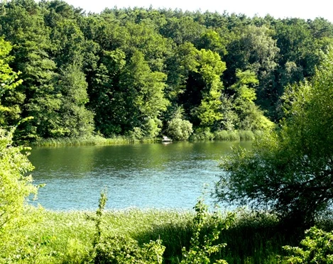 Trebuser See