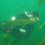 Tauchbasis Strausberg