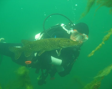 Tauchbasis Strausberg