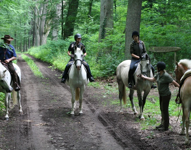 Reiter im Wald