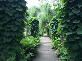 Ziegenwerder in Frankfurt (Oder)