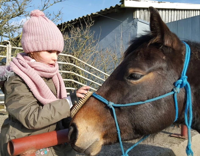 Coaching mit Pferden auf dem Landhof Septemberwiese bei Beeskow