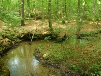 Naturpark Barnim