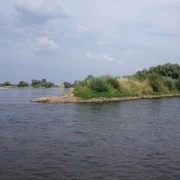 Zusammenfluss von Oder und Neiße