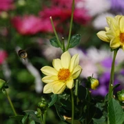 Foto: Tourismusverband Havelland e.V.