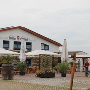 Öko-Landbau Thomas Syring