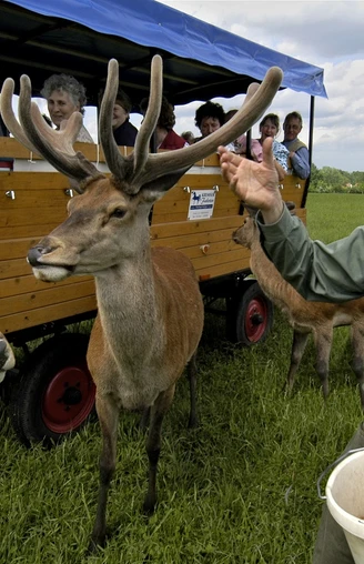 Gut Hirschaue Birkholz