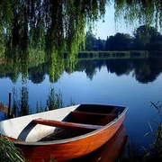 Blick zum See