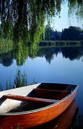 Blick zum See