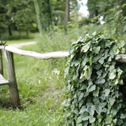 Park Reichenow