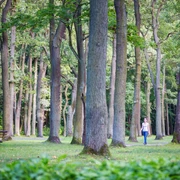 Stadtpark Fürstenwalde