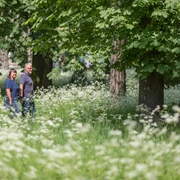 Spaziergang im Kleistpark Frankfurt (Oder)