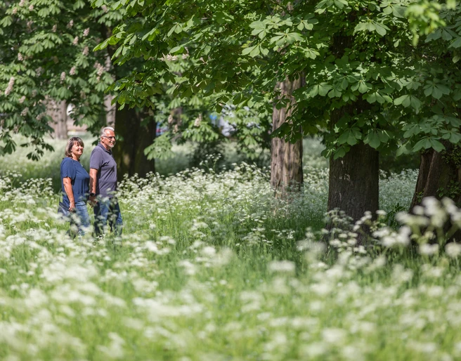 Spaziergang im Kleistpark Frankfurt (Oder)