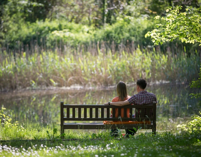 Bank am Wasser im Schlosspark Ragow