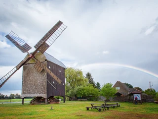 Bockwindmühle in Wilhelmsaue