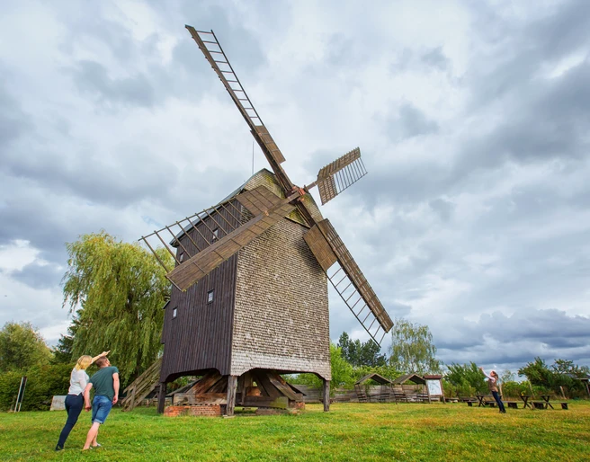 Bockwindmühle in Wilhelmsaue