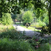 Botanischer Garten in Frankfurt (Oder)