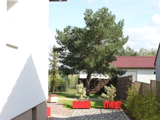 Blick zur Terrasse