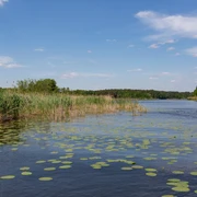 Flusslandschaft Spree