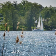 Segelboot auf dem Scharmützelsee
