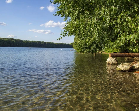 Straussee, TMB-Fotoarchiv/ScottyScout