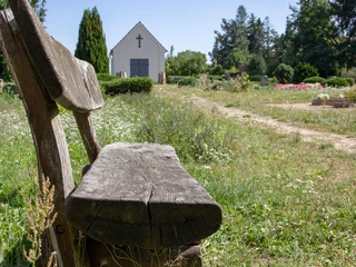 TMB-Fotoarchiv/ScottyScout